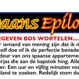 Spaans epiloog EEN GEGEVEN BOS WORTELEN……..