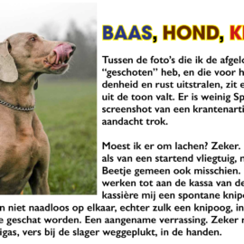 BAAS, HOND, KNAL, BASTA