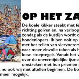 OP HET ZAND LEVEN