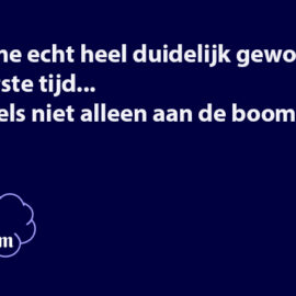 Eikels aan de boom?